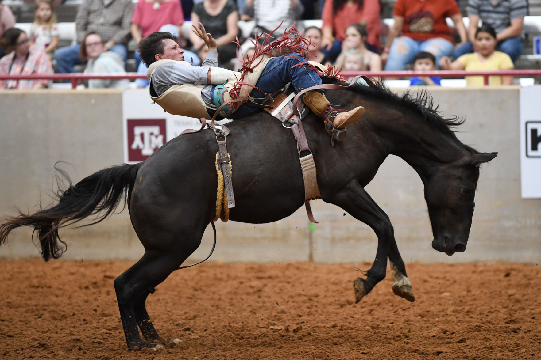Brazos Valley Fair and Rodeo